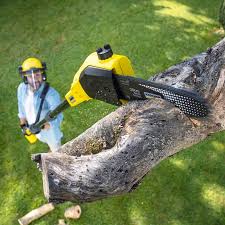 Best Tree Trimming and Pruning  in Malakoff, TX