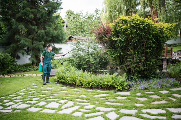 Best Commercial Tree Services  in Malakoff, TX