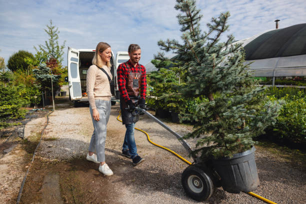 Best Emergency Tree Removal  in Malakoff, TX